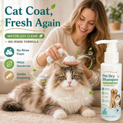 🥳HOT SALE🥳💞Waterless pet freshener, No-rinse, deodorizing & gentle. Fresh pet in minutes – grab yours! ✅